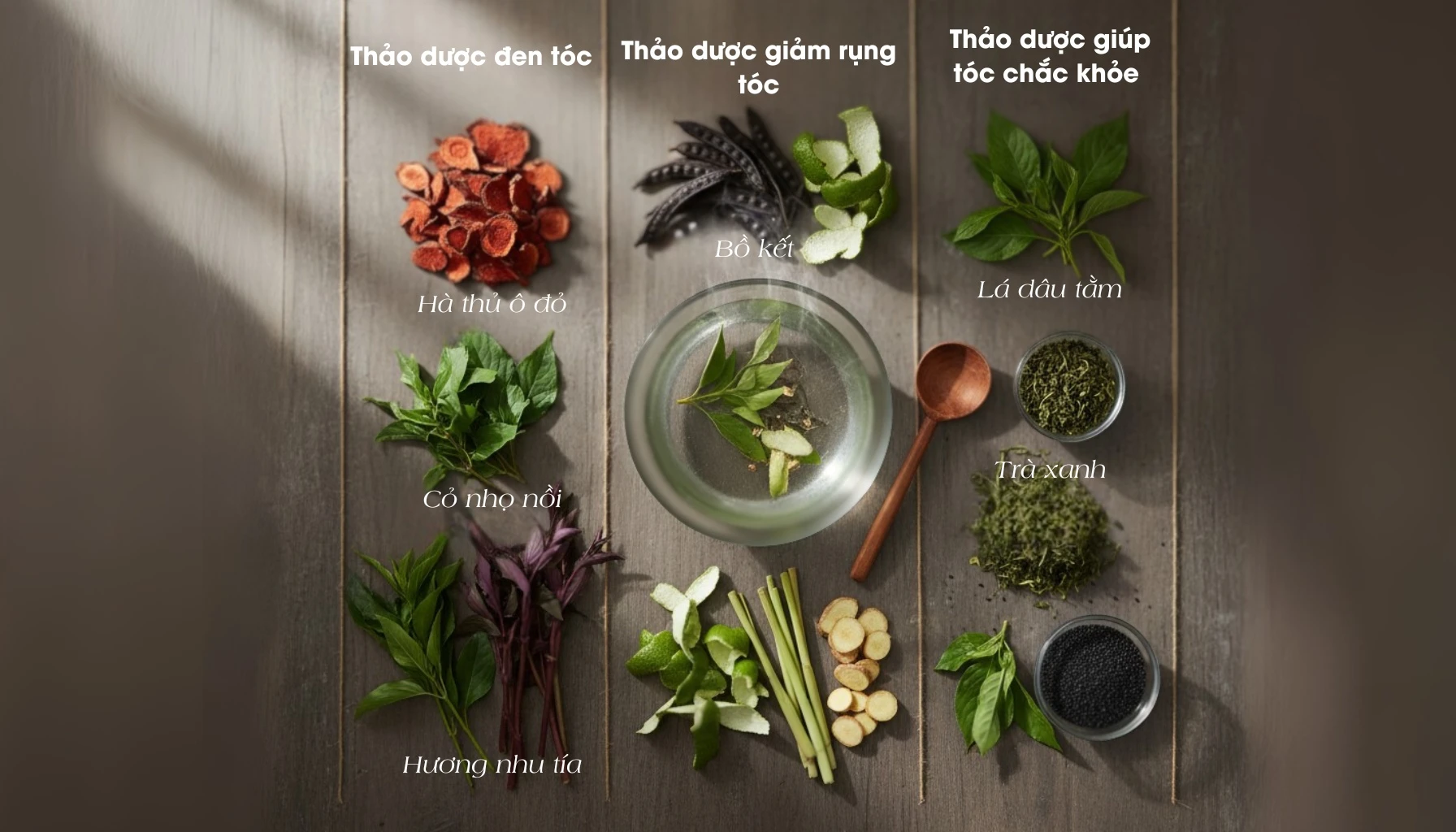 Công thức dầu gội thảo dược – Mẹo giảm bạc, giúp tóc đen của người xưa